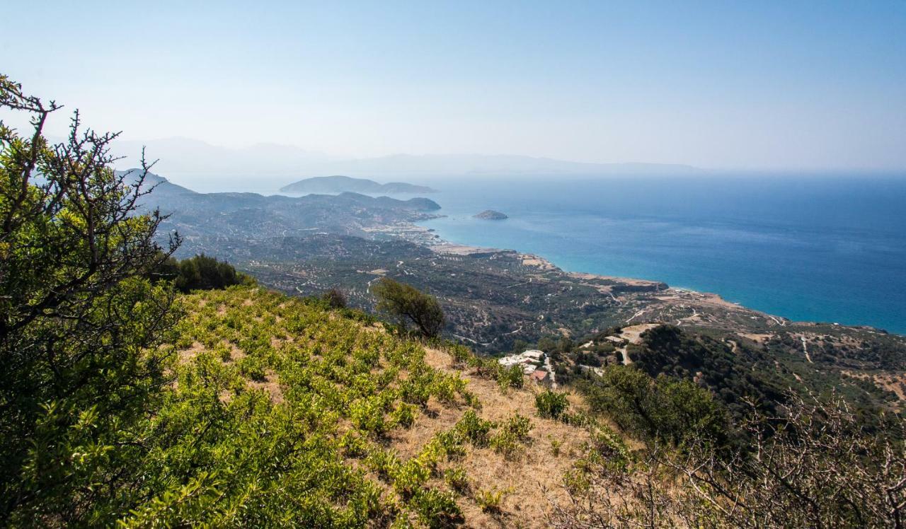Splendid Sea View Villa Mirsini  Kültér fotó